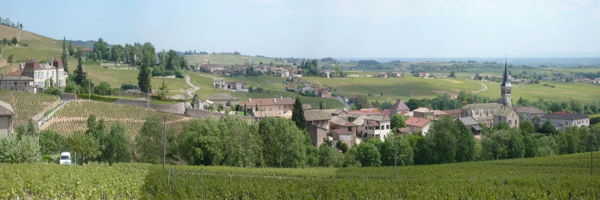 Image Monte escalier Chénas