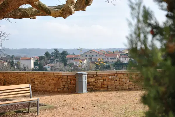 Monte Escalier 69 Monte escalier Curis-au-Mont-d'Or