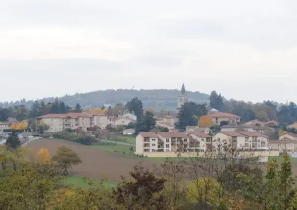 Monte Escalier 69 Monte escalier Lentilly