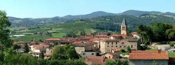 Monte Escalier 69 Monte escalier Thurins